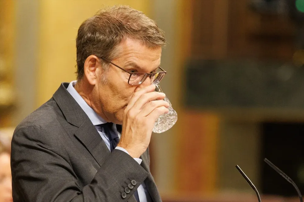 Alberto Núñez Feijóo, líder del PP.