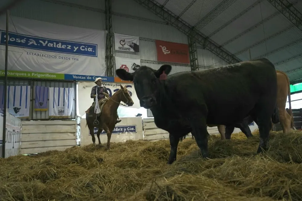 El remate se hará en el Centro de Ventas Ganaderas Don Tito-