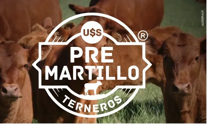 Pantalla Uruguay ofrece la herramienta de Pre-Martillo junto al banco Itaú