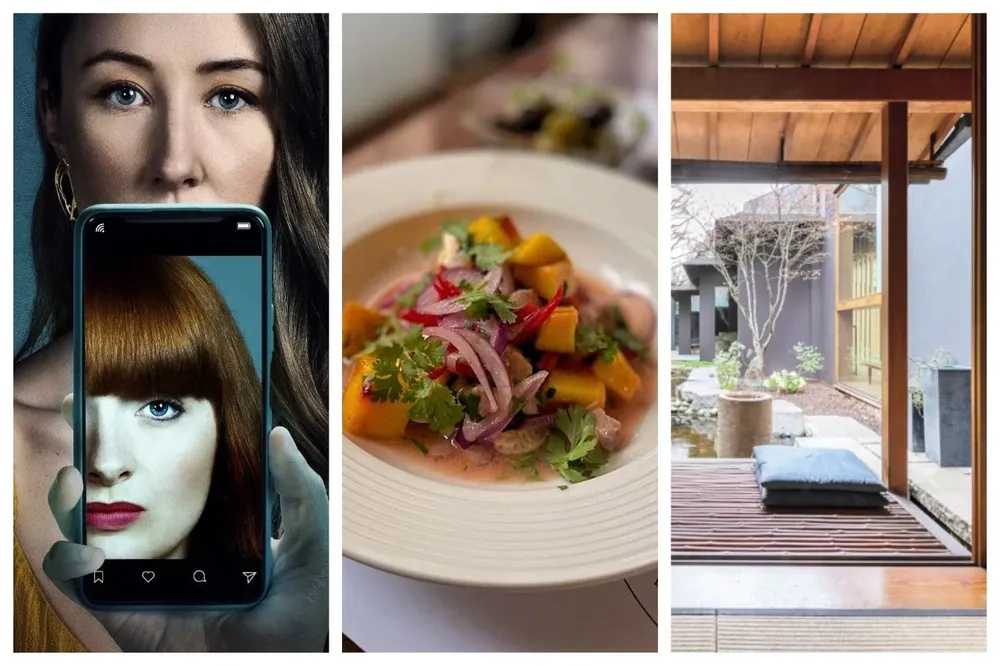 Series, gastronomía y más, en el picnic de hoy