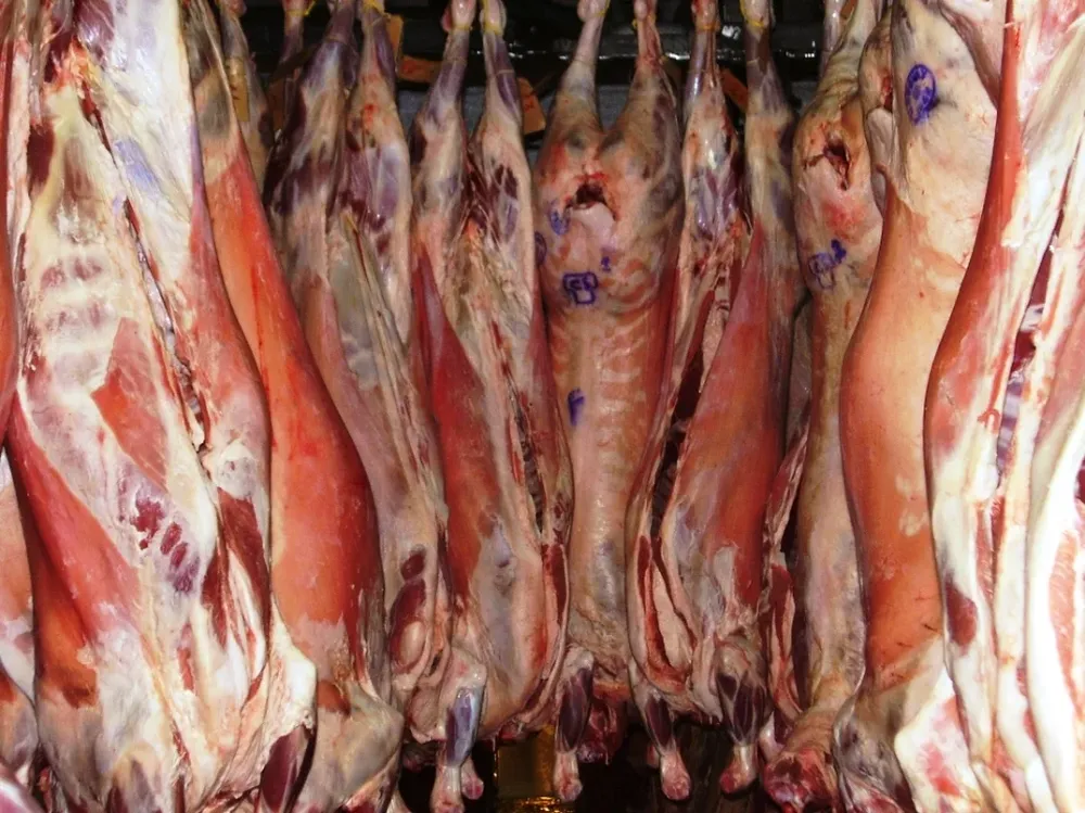 Notorio aumento de exportaciones de carne ovina uruguaya a la región