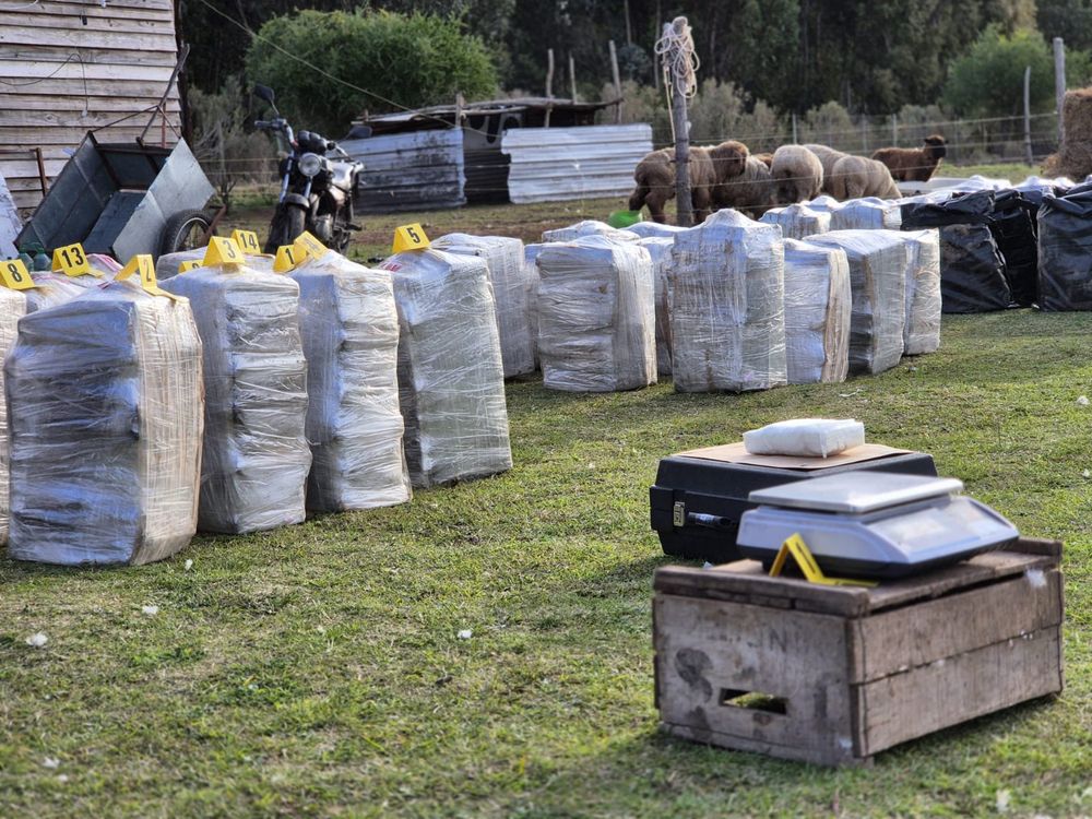 Parte de la cocaína incautada en Punta Espinillo