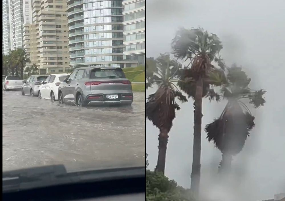 Punta del Este ciclón extratropical enero 2026