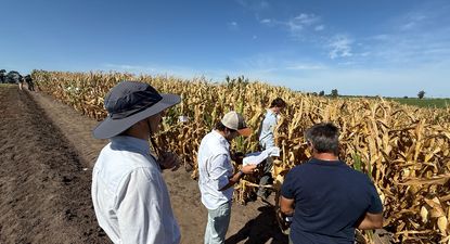 INASE: actividad en el predio de exposiciones de la ARU en Melilla.