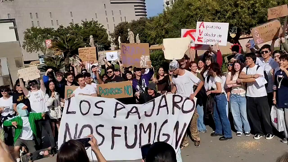 Protesta antipájaros en Barcelona