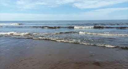 Así amaneció la playa de Punta Negra