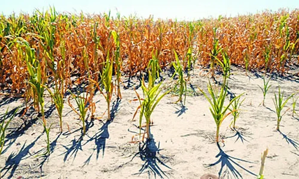 El clima incide en la campaña agrícola de EEUU