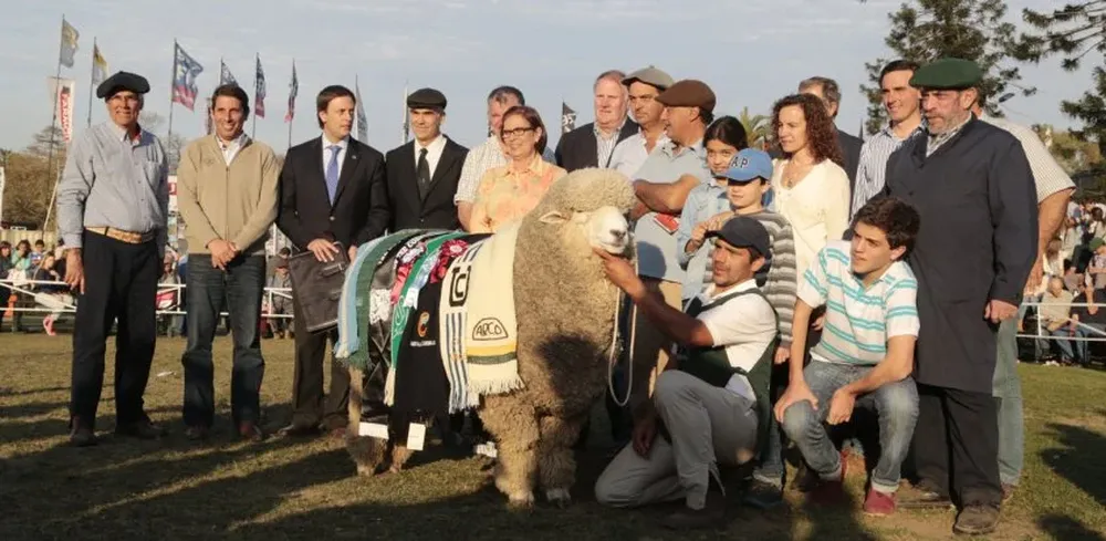 Granja Roland también ganó en el Corriedale de pedigrí