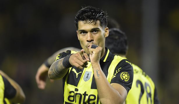 Matías Arezo&nbsp;