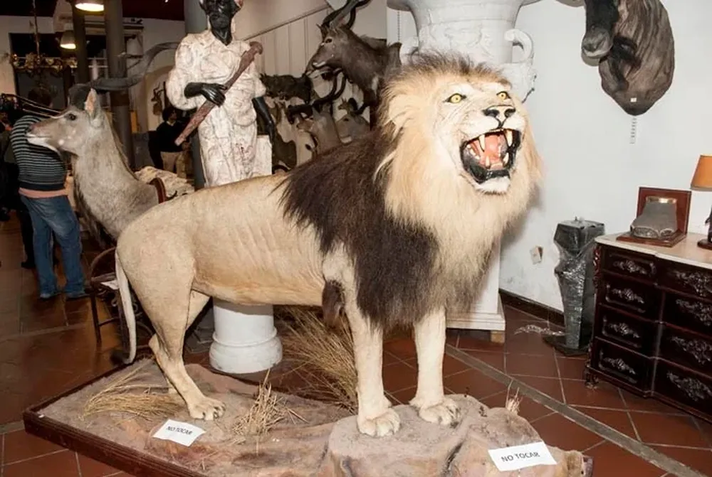 El león completo de la subasta