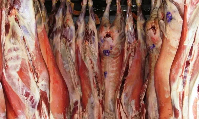 China compró más carne ovina, pero de menor valor.