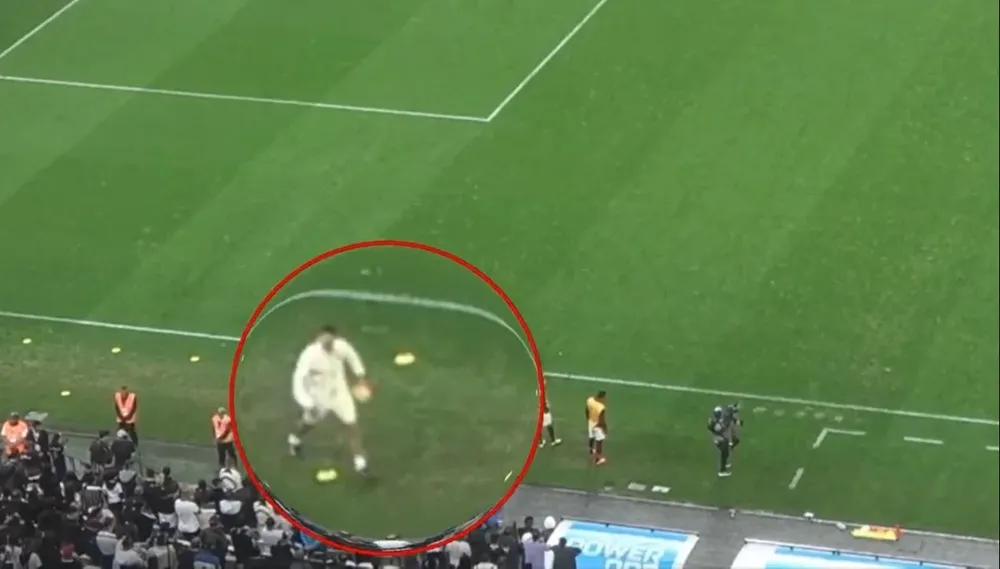 El video del Profe Avellino