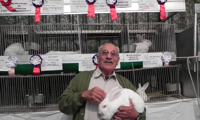 Brígido Liesegang exhibe al mejor conejo de 2013