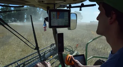 Donald Trump hace dudar a los agricultores uruguayos sobre cuánta colza sembrar en este invierno.