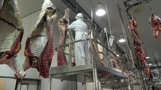 Minerva Foods compró el frigorífico BPU en US$ 40 millones