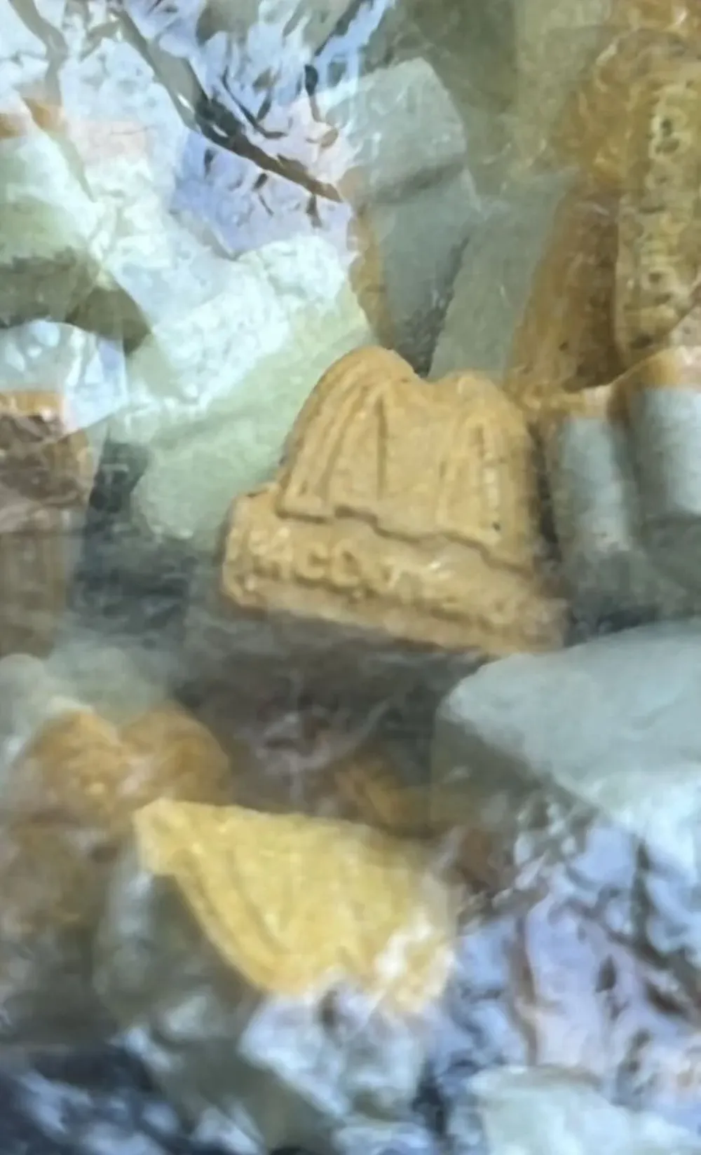 Las pastillas de éxtasis incautadas