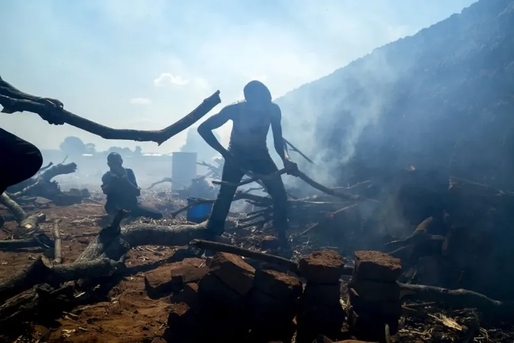 Los incendios forestales quemaron cerca de 3,6 millones de hectáreas en Canadá y EE.UU.