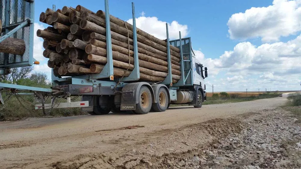 Sector productivo reclama hace años por la mejora de la ruta 14.