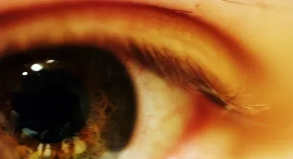 El Observador | 0000301918.webp