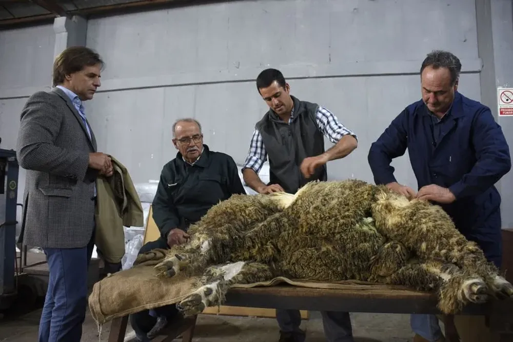 Luis Lacalle Pou recorrió el viernes la rural del Prado