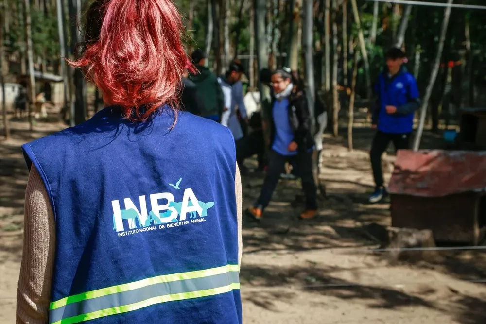 El INBA forma parte del Ministerio de Ganadería, Agricultura y Pesca.