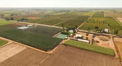 La planta de deshidratación regional de Knorr ubicada en Mendoza, Argentina