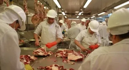 La industria continuó creciendo