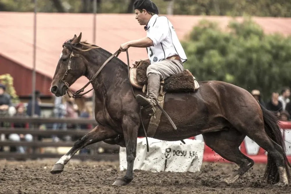 La vencedora en el Freno de Oro: Ilusionada Constancia 1002, de La Constancia, con Gabriel Marty.