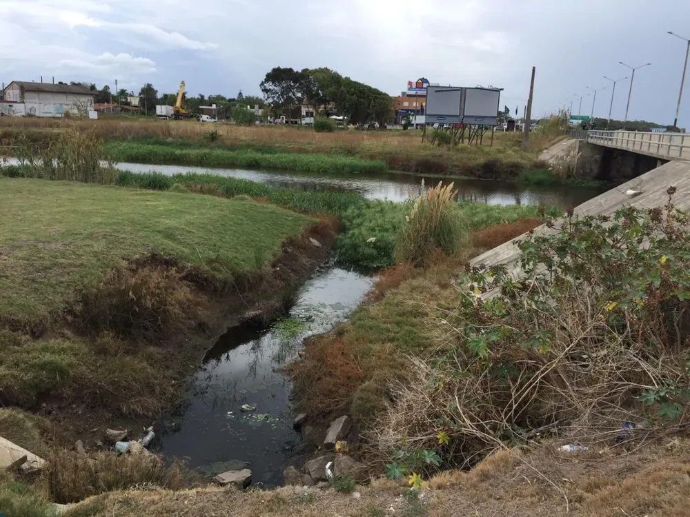 Basura en el arroyo Carrasco