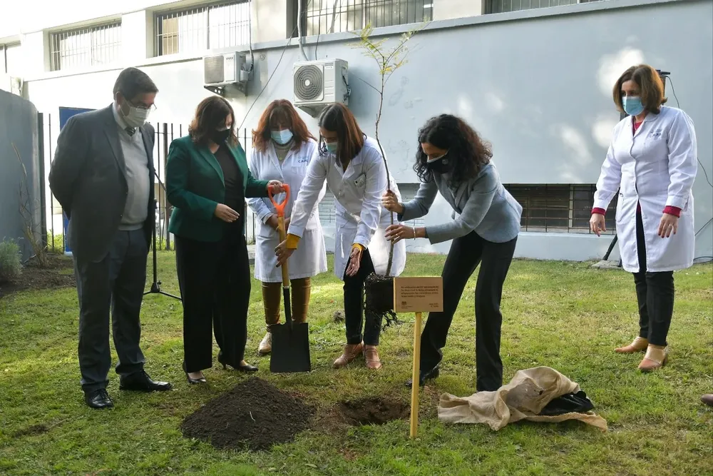 La ministra plantó un árbol este viernes 25 de junio.