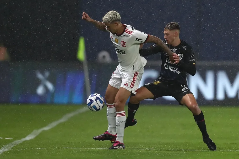 Pedro y Mateo Carabajal