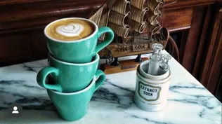 Cómo impacta la salinidad del agua de OSE en el café