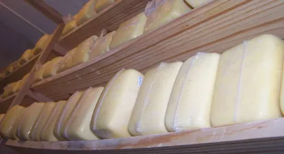 El Observador | 1556827461401.webp