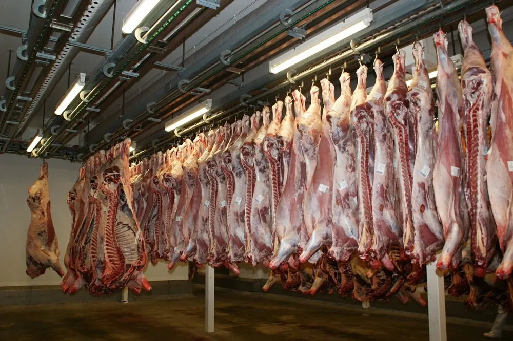 Carne vacuna en stock en cámara de frigorífico.
