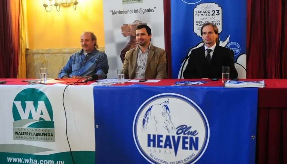 Pablo Lucini, Joaquín Abelenda y Mauro Besio en la conferencia