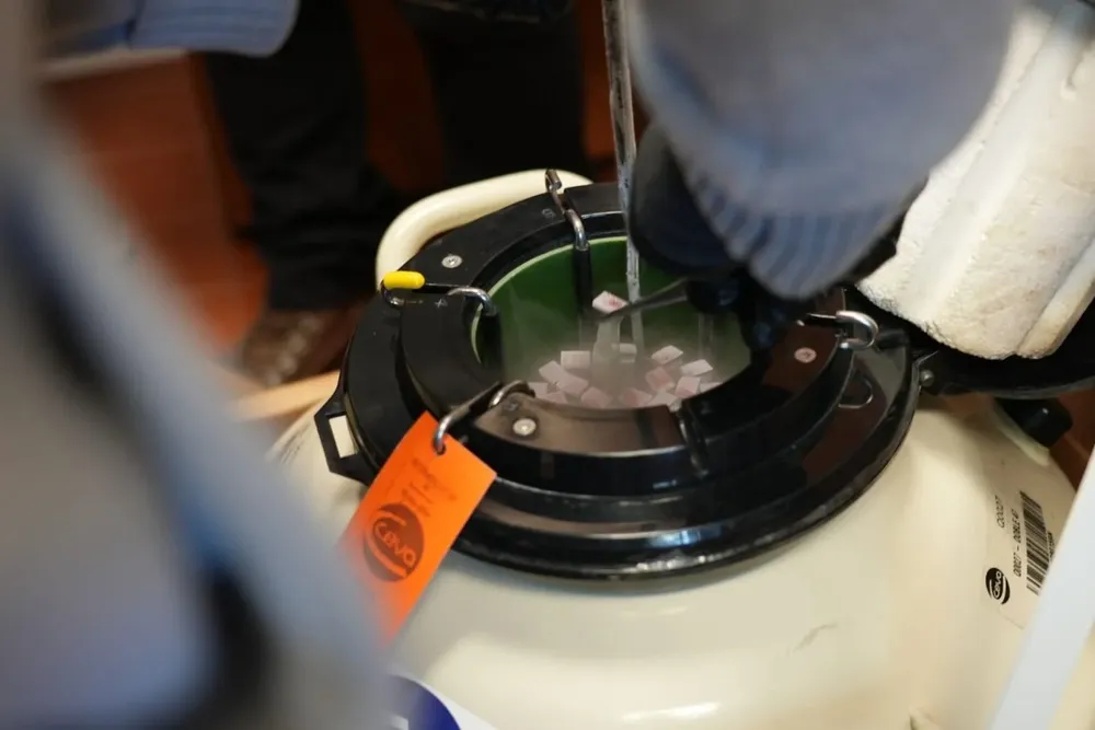 Vacunas procedentes de Estados Unidos.