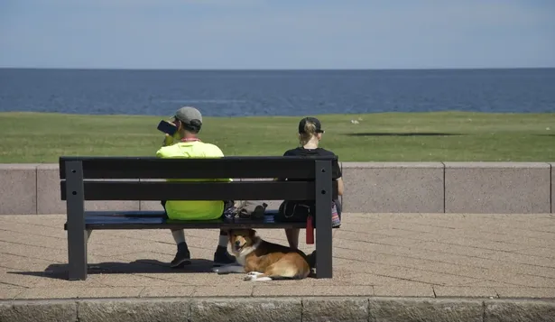 El servicio de meteorología AccuWeather espera un día parcialmente soleado y cálido