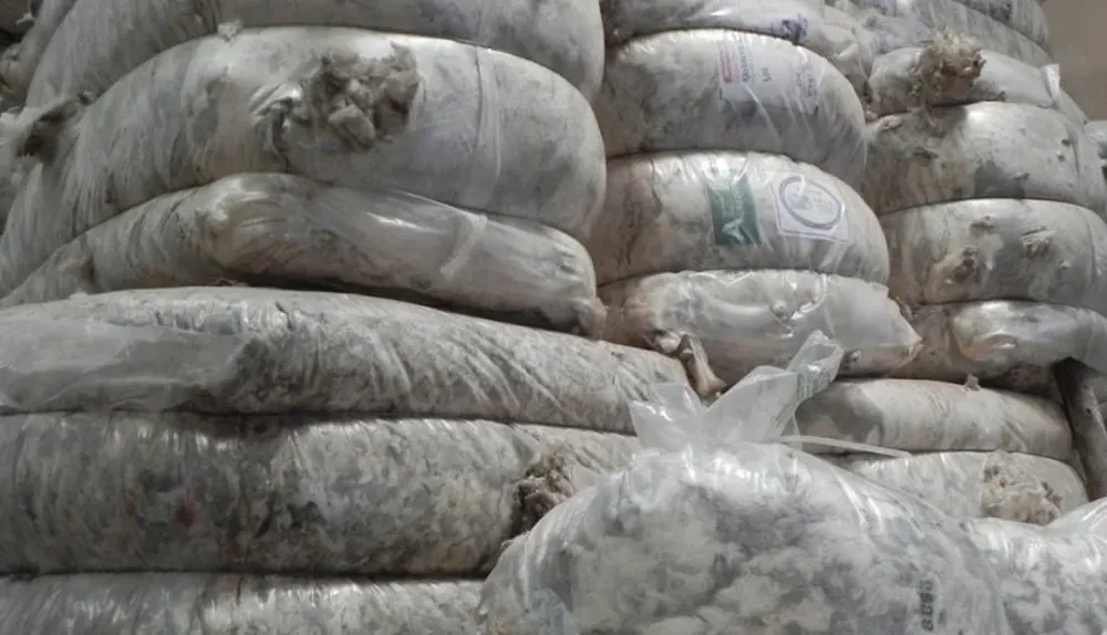 En el mercado native se concretan pocos negocios por lanas.