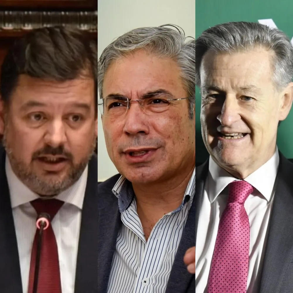 El sector Ciudadanos puede llegar a su fin