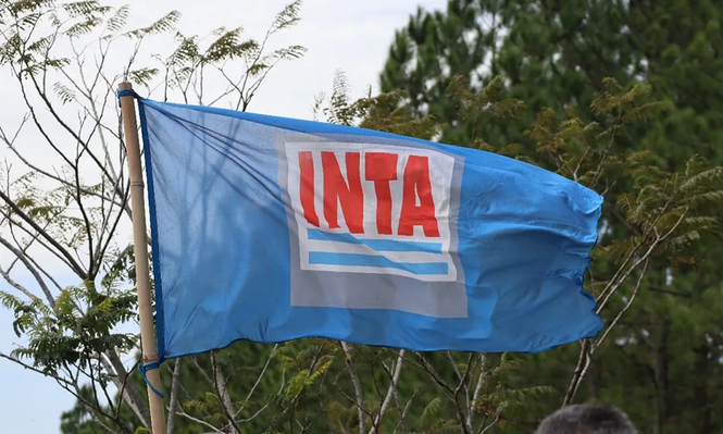 Reforma del INTA: los números que muestra el Gobierno para tomar el control y las resistencias que genera