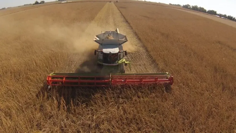 Comienza una cosecha de soja que será la segunda más voluminosa de la última década