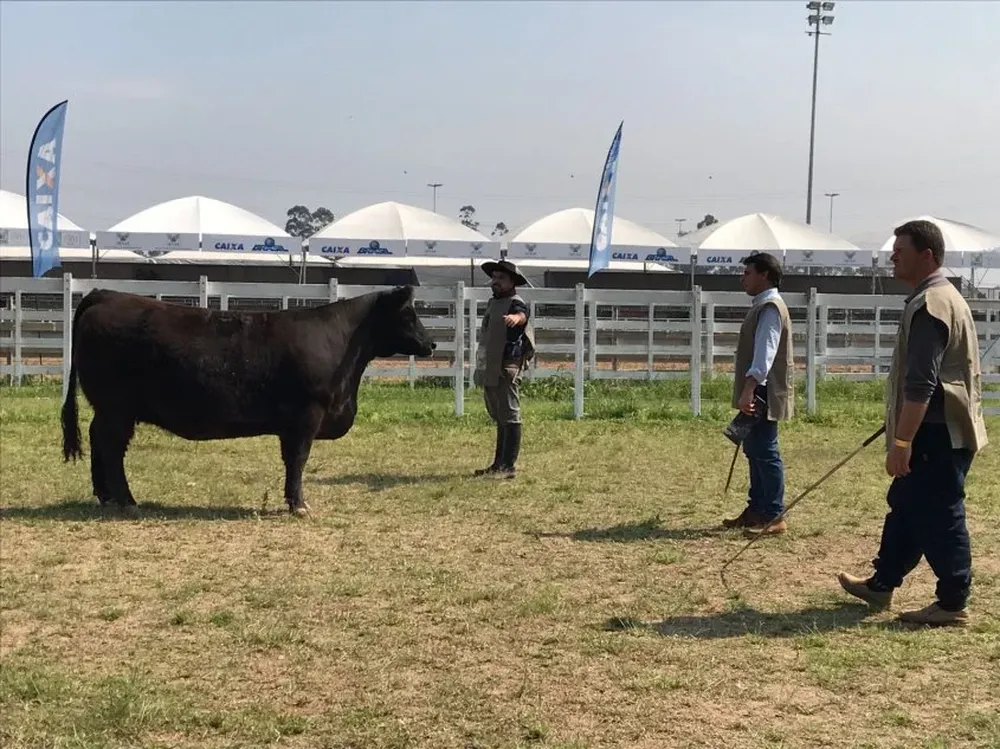 La Gran Campeona recibió elogios del jurado en la Expointer