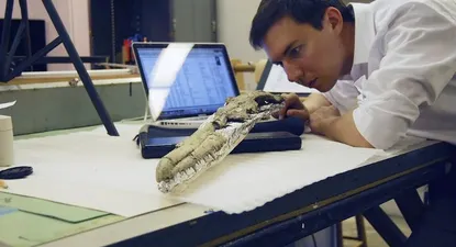 El Observador | 0000310972.webp