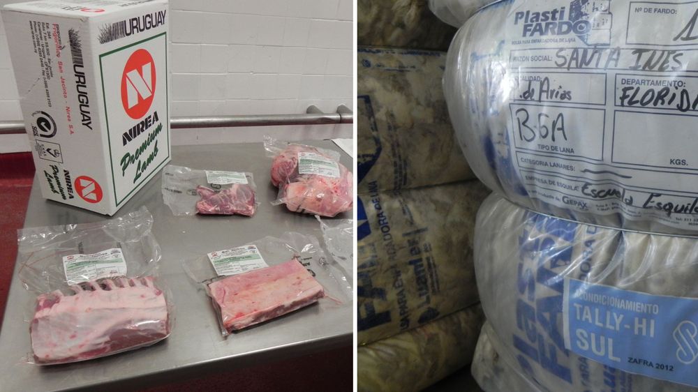 Rubro ovino: exportaciones de lanas explican el 70% de los ingresos de divisas al país.