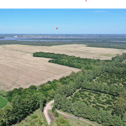 Con vecinos en pie de guerra, autoridades argentinas hacen últimos esfuerzos diplomáticos para cambiar ubicación de planta de HIF en Paysandú