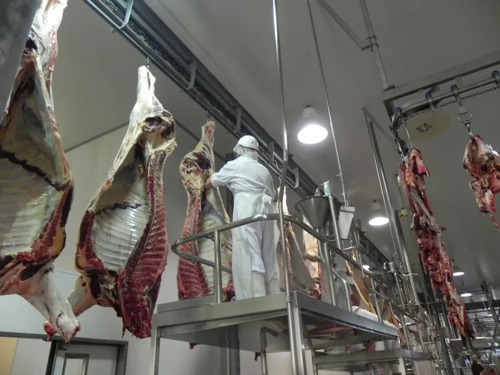 La negociación por vacas se mantiene difícil