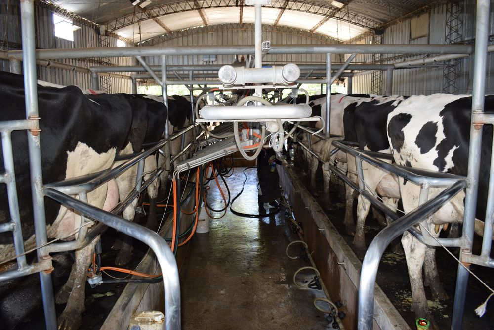 Tamberos: gremiales de productores del sector expusieron su molestia con una actitud del presidente Orsi.