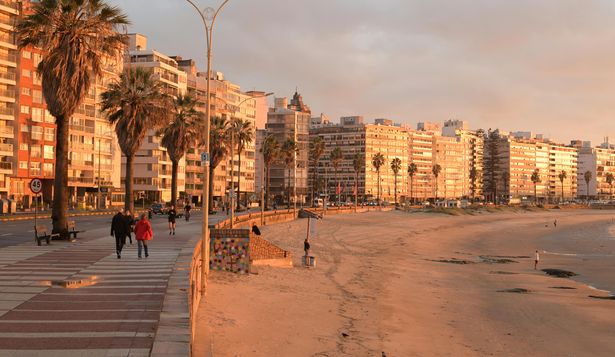 Mercado inmobiliario: ¿cuáles son los precios promedio más ofrecidos y buscados para alquilar y comprar en Montevideo?