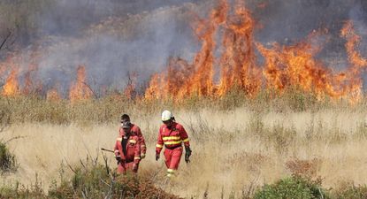 El incendio en Molezuelas de la Carballeda, el mayor de la historia de España.&nbsp;