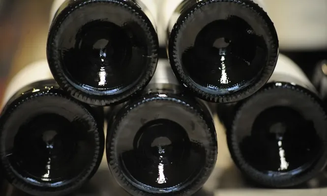 Viticultores preocupados por la falta de demanda por el vino elaborado con la uva remitida al CVU.